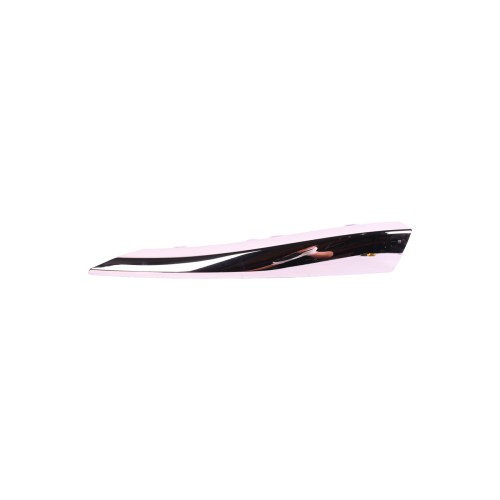 Bapmic BF0112300075 Front Bumper Trim Strip OE ref C2Z13455