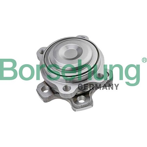 Wheel bearing assembly - B11710